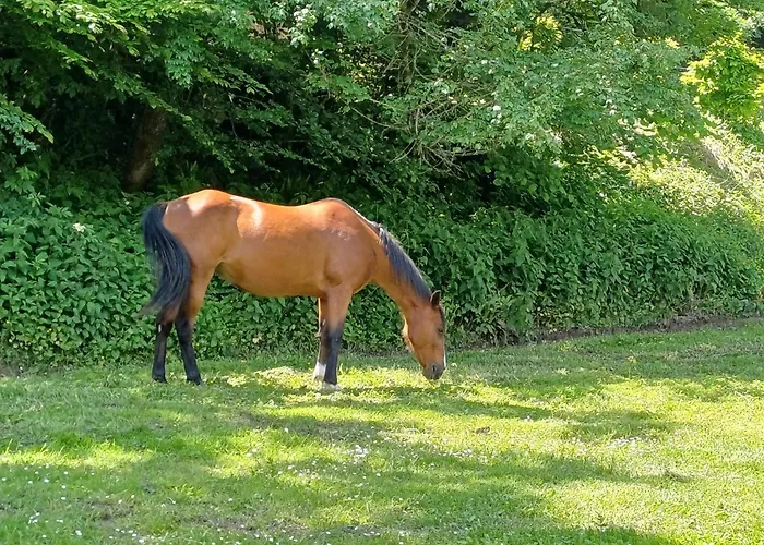 D'exception Dans Le Château De Lacypierre